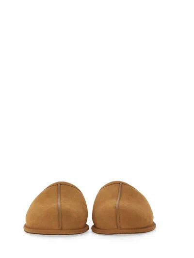 Shop Ugg Slippers "scuff" In Brown