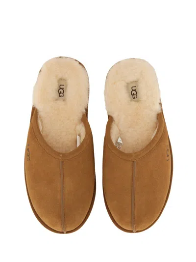 Shop Ugg Slippers "scuff" In Brown