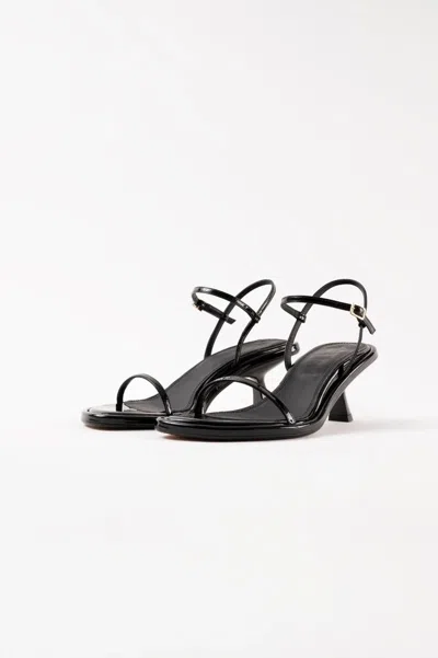Souliers Martinez 55mm Ivone Leather Sandals In Black