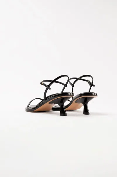 Souliers Martinez 55mm Ivone Leather Sandals In Black