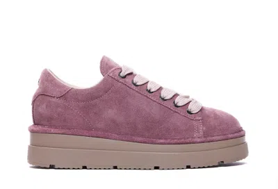 Shop Pànchic Panchic Sneakers In Pink