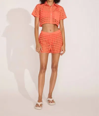 Solid & Striped Eyelet Charlie Short In Coral Crush In Multi