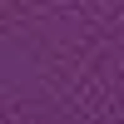 Bebe Logo Short Sleeve Scoop Neck Single Stone Rib Top In Imperial Purple