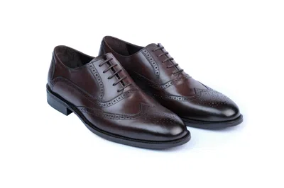 Vellapais Limya Wingtip Oxford Dress Shoes In Brown