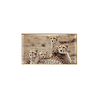 Chantecaille Cheetah Eye Trio (limited Edition)