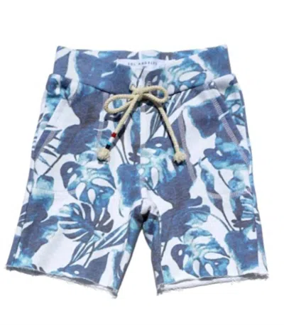 Sol Angeles Midnight Printed Short In Blue/palm In Multi