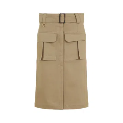 Shop Chloé Skirt In Green