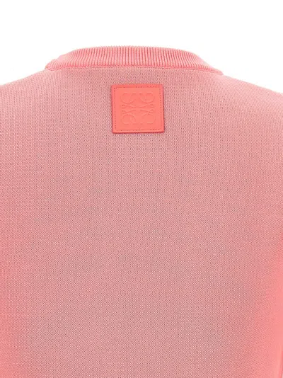 Loewe Cropped Knitted Crew-neck Sweater In Pink