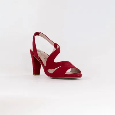 Eric Michael Women's Scarlett Sandal In Red In Red