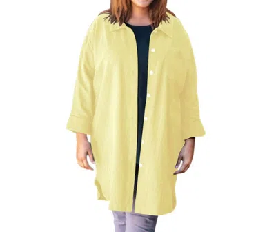 On The Plus Side Cotton Collar Long Sleeve Kendall Shirt - Plus In Lemonade In Multi