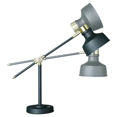 HOMEZIA MATTE BLACK AND ANTIQUED BRASS LED ADJUSTABLE DESK LAMP 