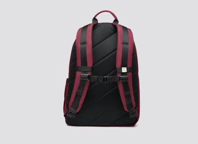 Cariuma Jj Backpack Bordeaux In Bordeaux