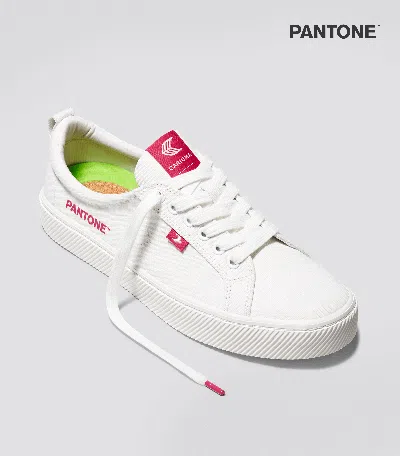 Cariuma Oca Low Pantone Off-white Canvas Viva Magenta Sneaker Men In Off-white/pantone Viva Magenta