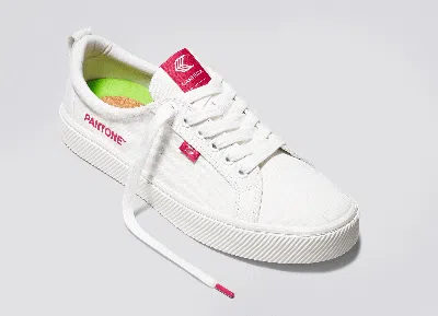 Cariuma Oca Low Pantone Off-white Canvas Viva Magenta Sneaker Men In Off-white/pantone Viva Magenta