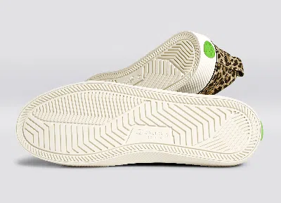 Shop Cariuma Oca Low Stripe Leopard Print Canvas Sneaker Men