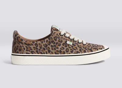 Cariuma Oca Low Stripe Leopard Print Suede Sneaker Women In Leopard Print