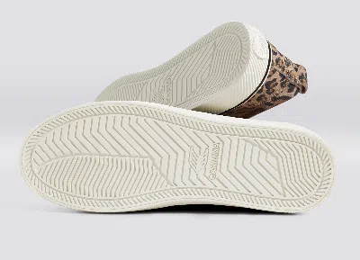 Cariuma Oca Low Stripe Leopard Print Suede Sneaker Women In Leopard Print