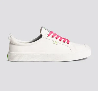 Cariuma Shoe Lace Classic Pink Lemonade With H Silver Tip In Pink Lemonade H Silver Tip