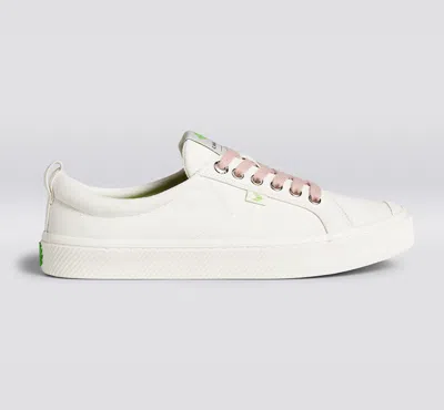 Cariuma Shoe Lace Classic Rose With H Silver Tip In Rose H Silver Tip