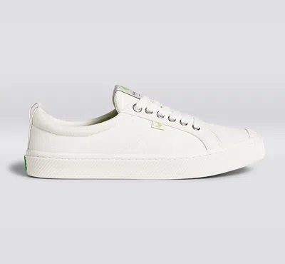 Cariuma Shoe Lace Off White With H Silver Tip In Off White H Silver Tip