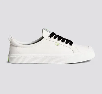 Cariuma Shoe Lace Wide Black With H Silver Tip In Black H Silver Tip