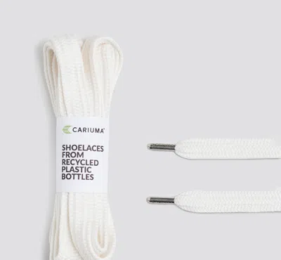 CARIUMA SHOE LACE WIDE OFF WHITE WITH H SILVER TIP 