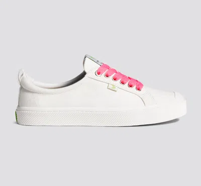Cariuma Shoe Lace Wide Pink Lemonade With H Silver Tip In Pink Lemonade H Silver Tip
