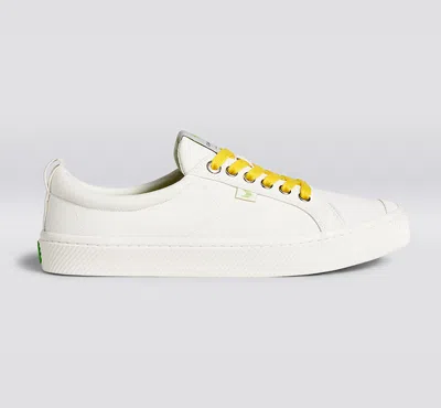 Cariuma Shoe Lace Yellow With H Silver Tip In Yellow H Silver Tip