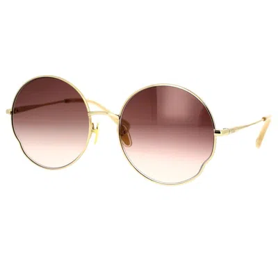 CHLOÉ CHLOÉ SUNGLASSES 