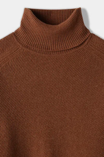 Reid Textured Cashmere Turtleneck In Brown