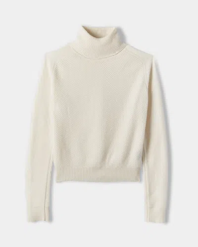 Reid Textured Cashmere Turtleneck In Brown