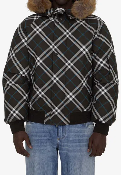 Burberry Check Jacket In Brown