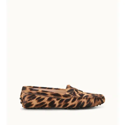Tod's Gommino Driving Shoes In Ponyskin-effect Leather In Multi