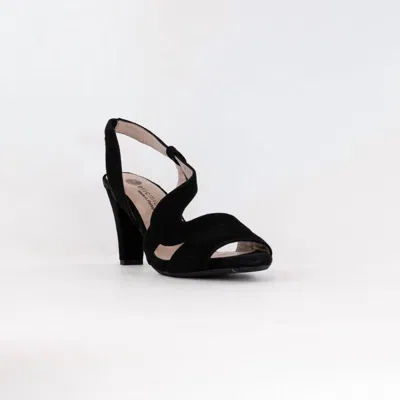 Eric Michael Women's Scarlett Sandal In Black In Black