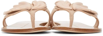 Shop Giuseppe Zanotti Pink Wing Nuvorock Sandals