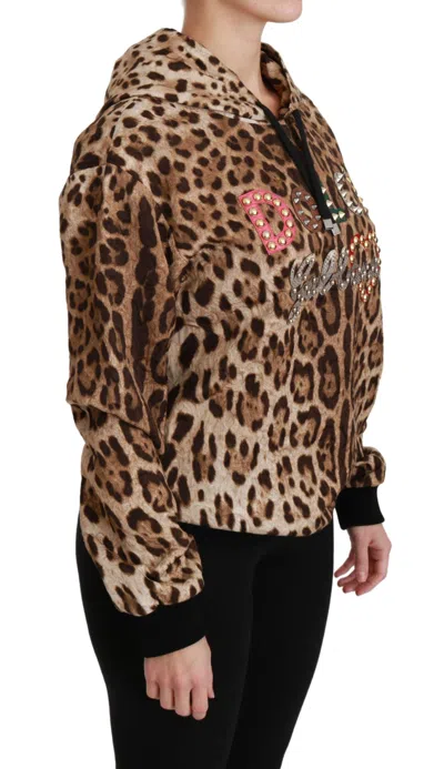 Dolce & Gabbana Brown Hooded Studded Ayers Leopard Sweater In Brown