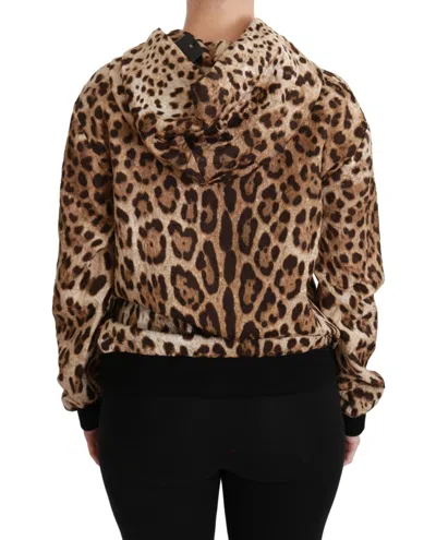 Dolce & Gabbana Brown Hooded Studded Ayers Leopard Sweater In Brown