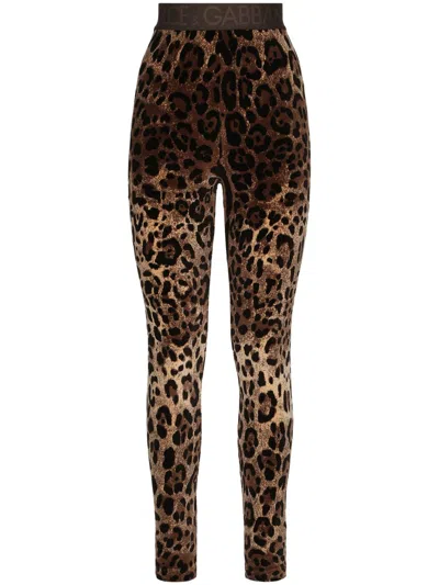 Dolce & Gabbana High Waist Leopard Print Cotton Blend Leggings