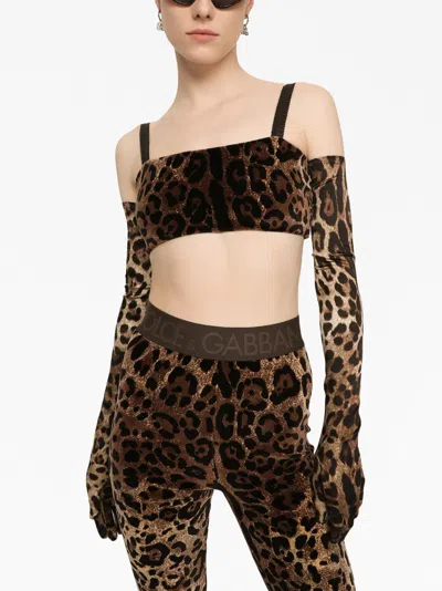Dolce & Gabbana High Waist Leopard Print Cotton Blend Leggings