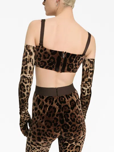 Dolce & Gabbana High Waist Leopard Print Cotton Blend Leggings