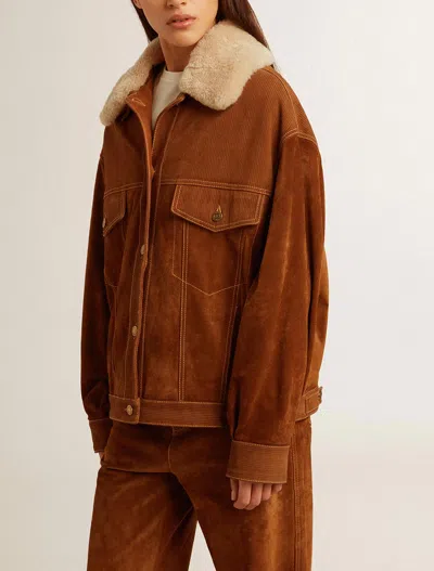 Golden Goose Journey Suede Jacket With Removable Collar
