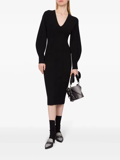 Alberta Ferretti 0482.6604