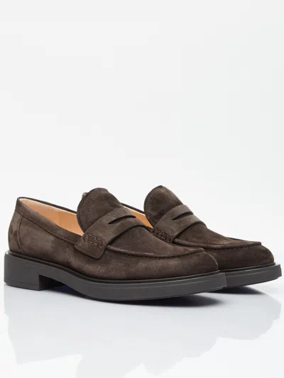 Gianvito Rossi Loafers With Round Toe And Suede Finish