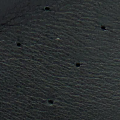 Isabel Marant Bryce Low-top Leather Sneakers In Black