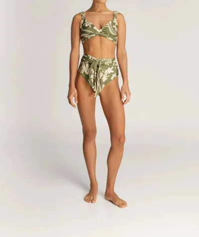 Encantadore Clara Bikini Top In Emerald In Green