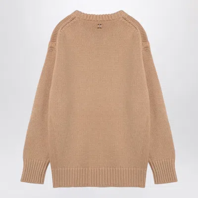 Chloé Skin Pink Cashmere Blend Oversize Sweater In Multi
