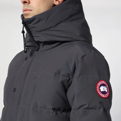 Shop Canada Goose Carson Parka Grey