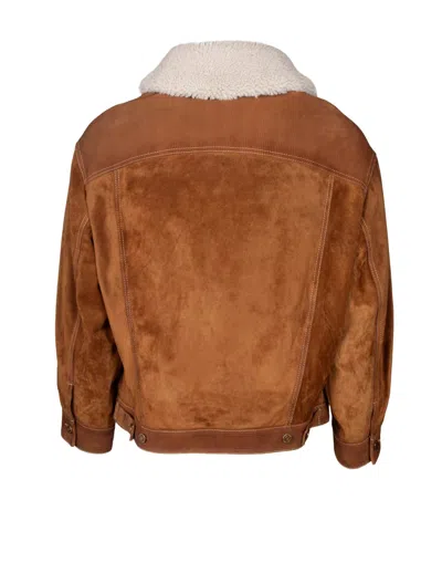 Shop Golden Goose Split Jacket With Shearling Collar In Brown