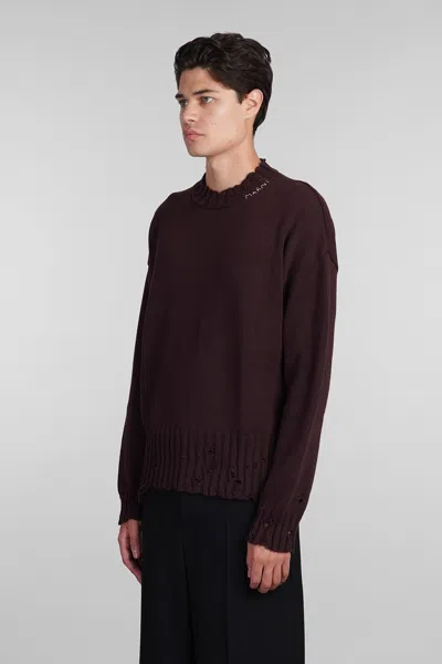 Shop Marni Knitwear In Bordeaux Cotton