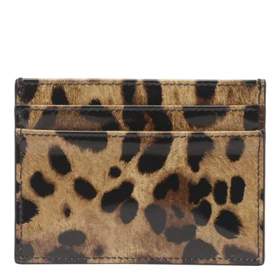 Shop Dolce & Gabbana Cards Holder In Leo